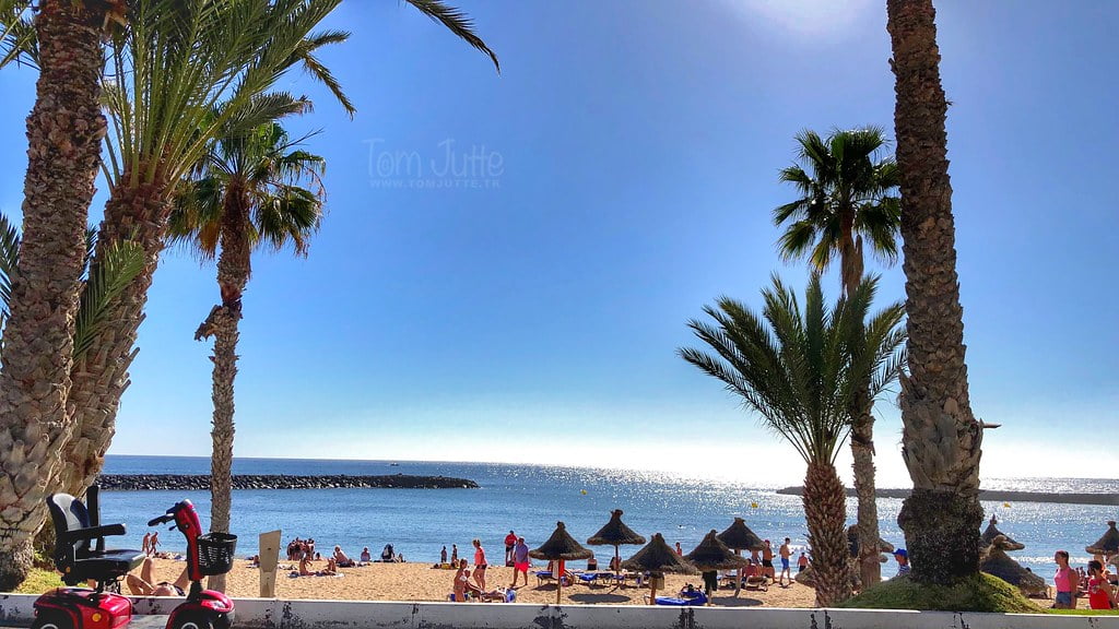 Descubre Qué Hacer en el Sur de Tenerife - Guía Turística Esencial 3 que hacer en el sur de tenerife - playa las americas