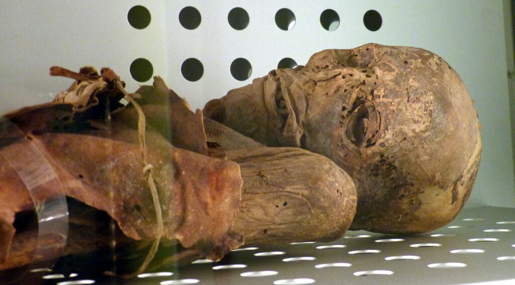 Descubre los Mejores Museos en Los Cristianos 3 momia de san andres - museos en los cristianos