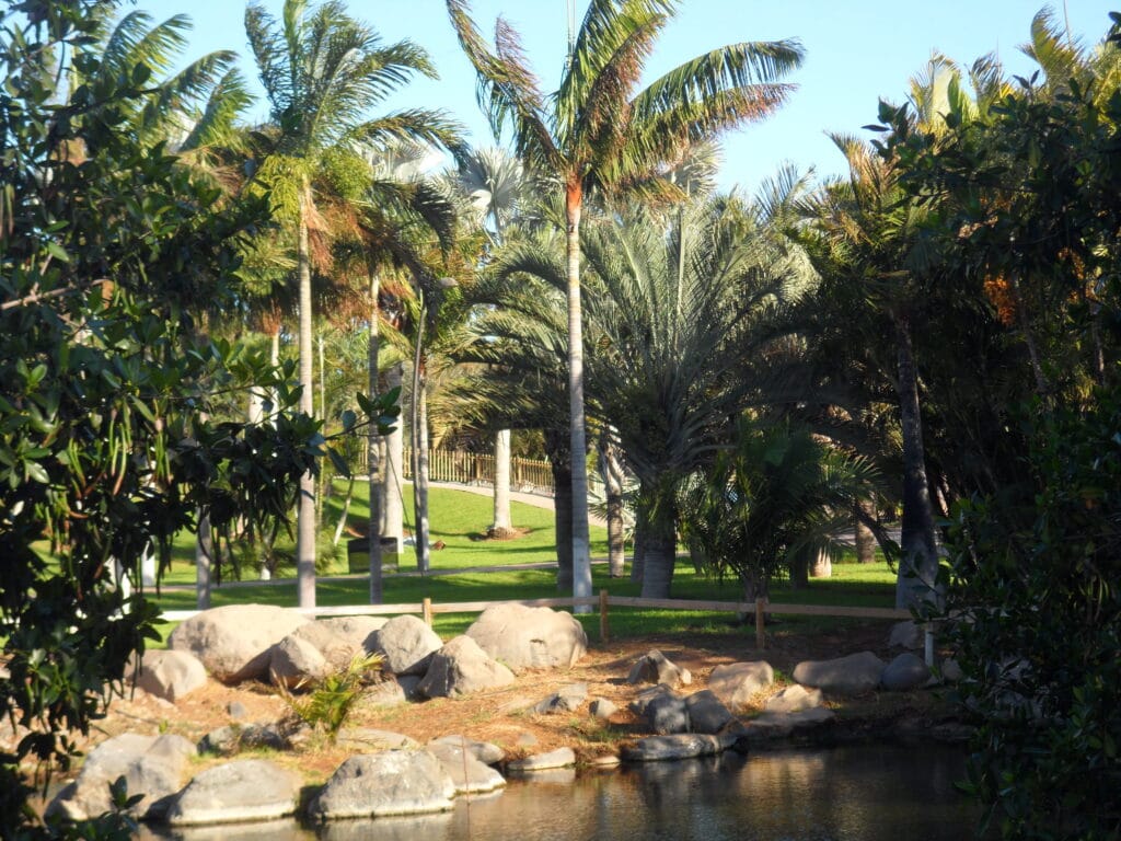 Palmetum de Santa Cruz - Turismo de Tenerife 2 Palmetum de Santa Cruz de Tenerife