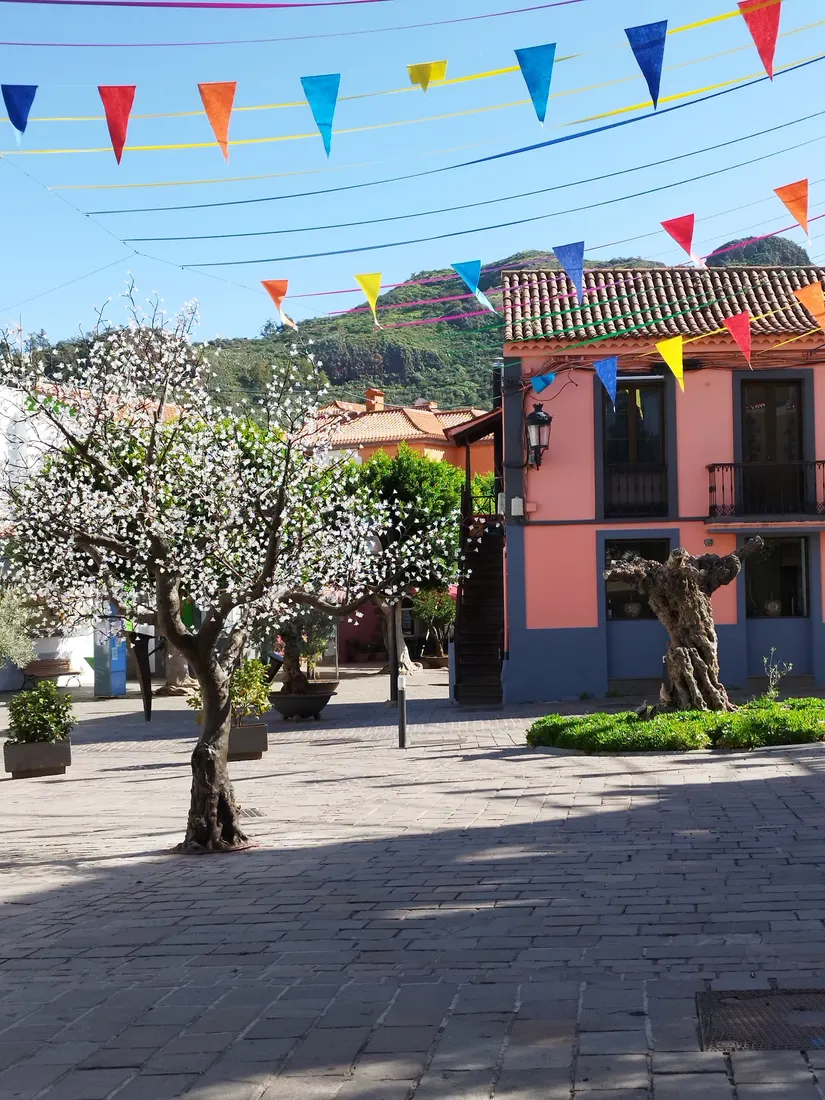 Dia Feliz — Vega San Mateo