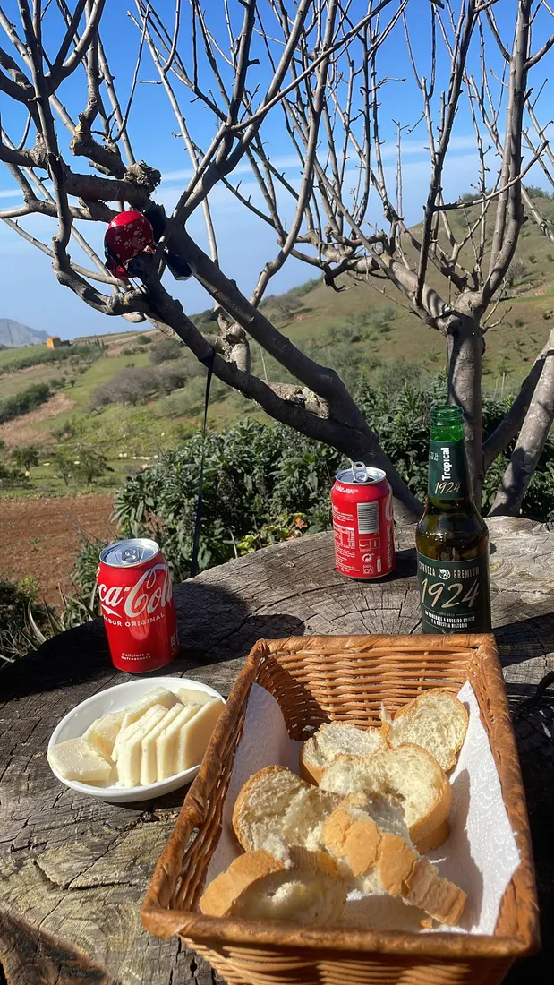 Lomo Del Palo — Galdar