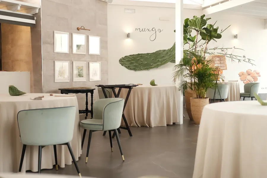Muxgo — Las Palmas De Gran Canaria