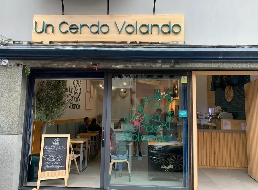 Un Cerdo Volando — Las Palmas De Gran Canaria