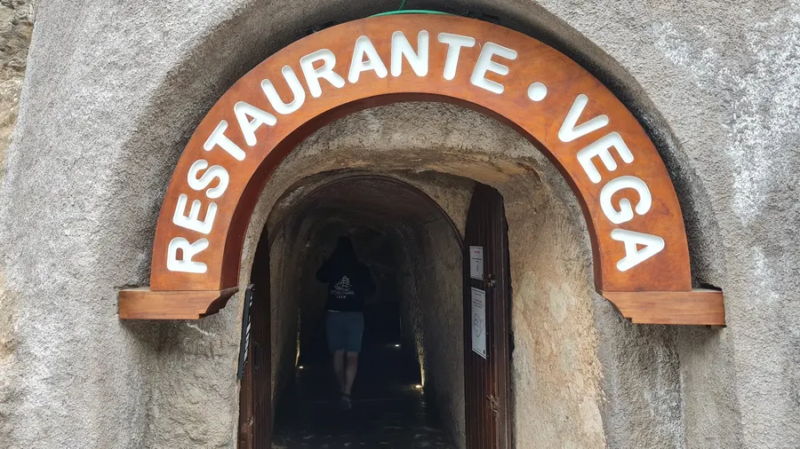 Vega — Ingenio