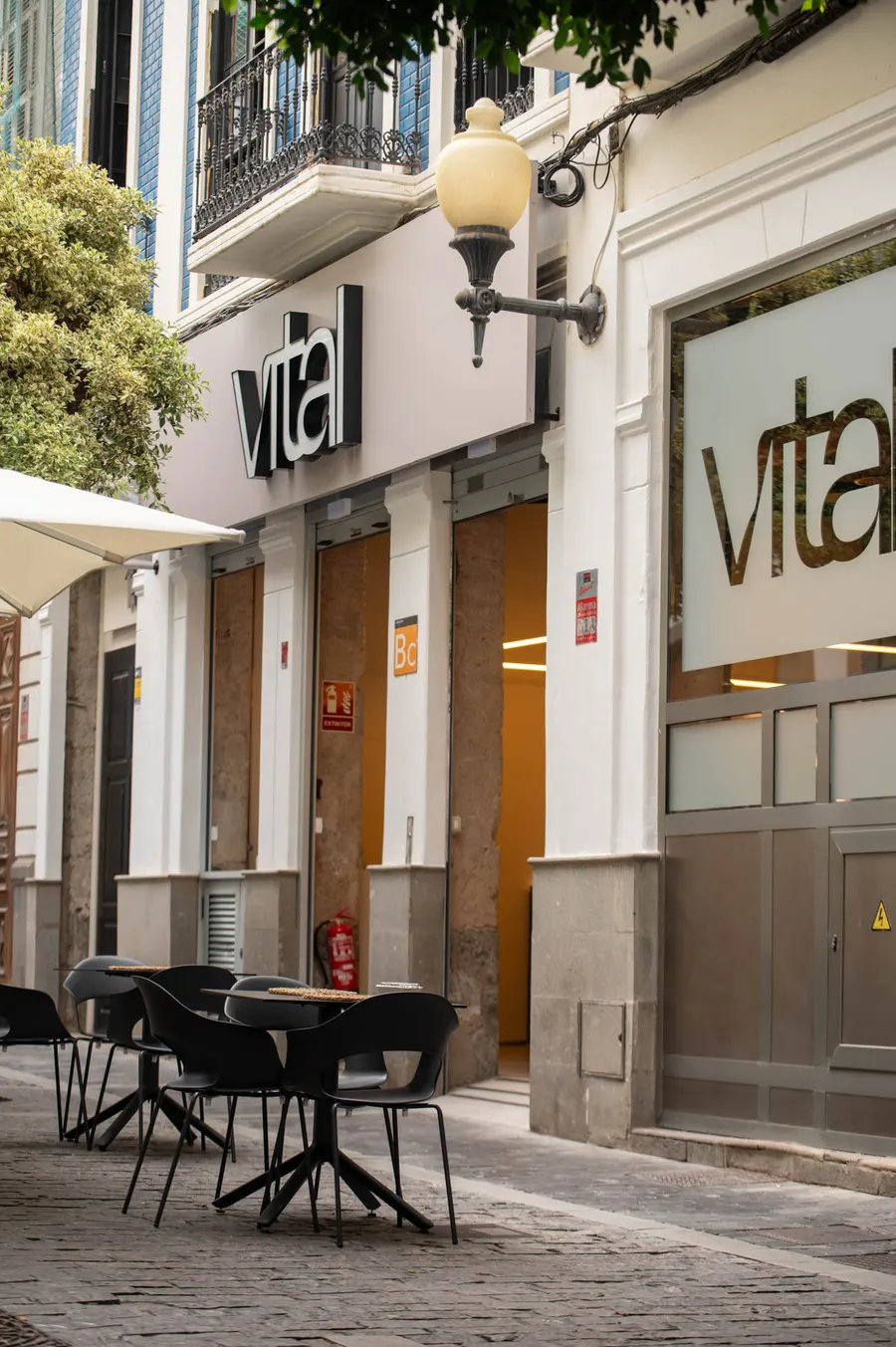 Vital — Las Palmas De Gran Canaria