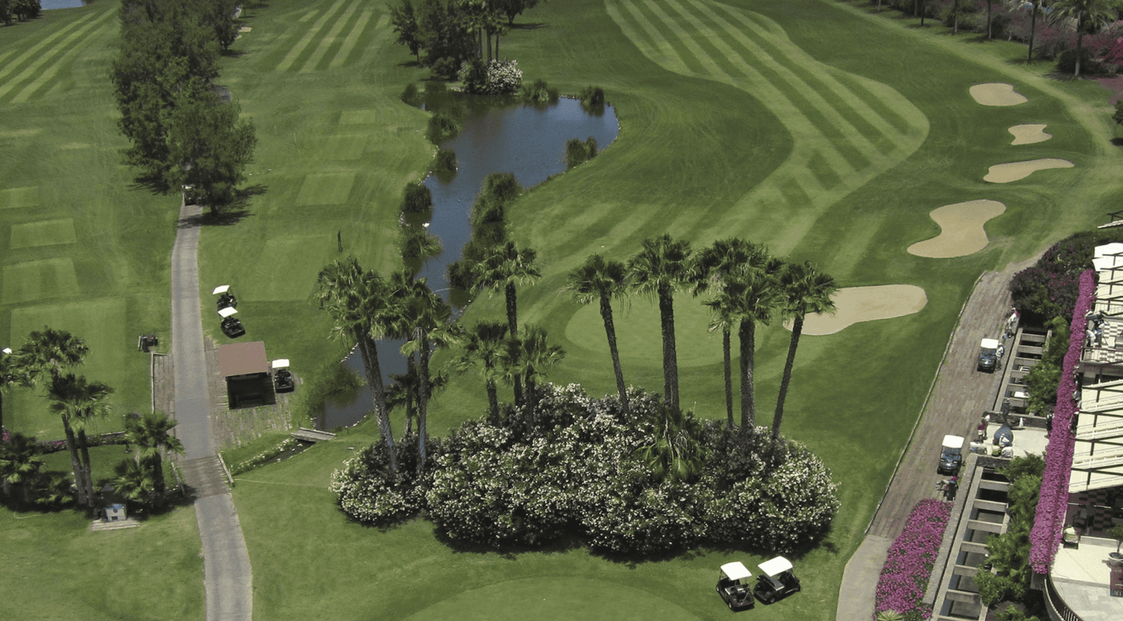 Aventura y Relax en el Campo de Golf Las Américas