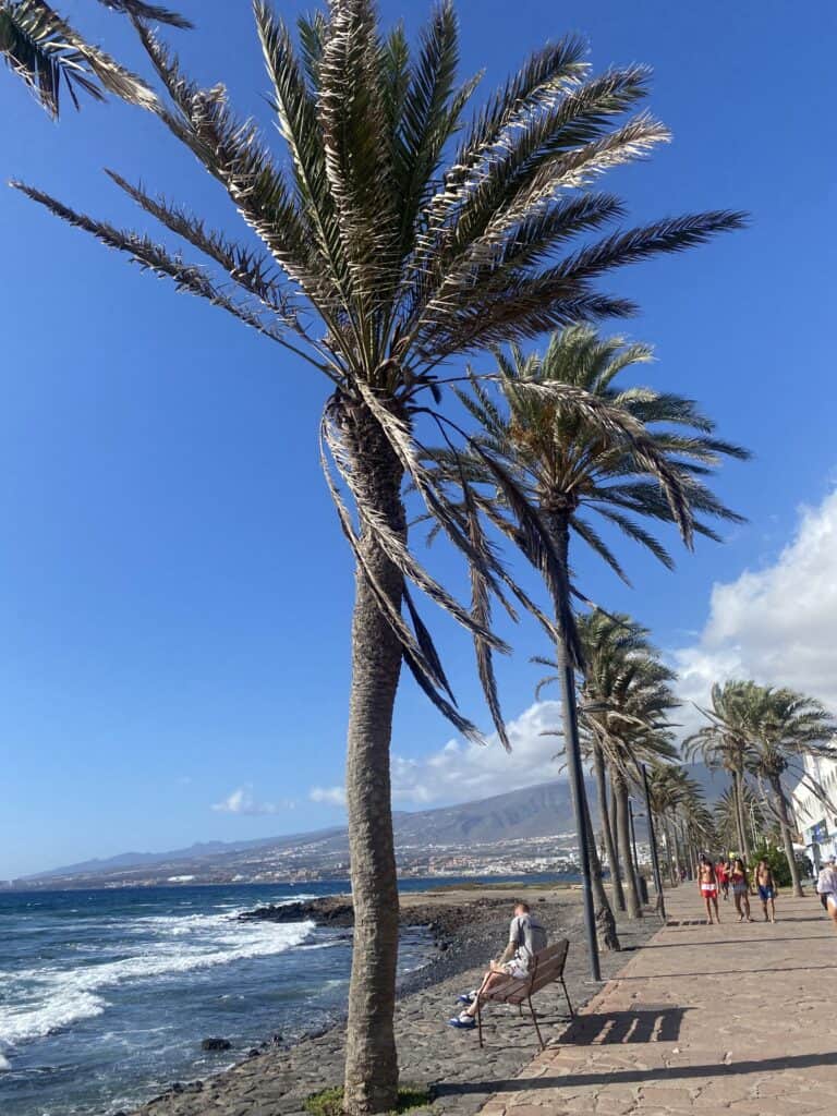 Blog 5 playa de las americas - tenerife sur - azul flojito restaurante los cristianos