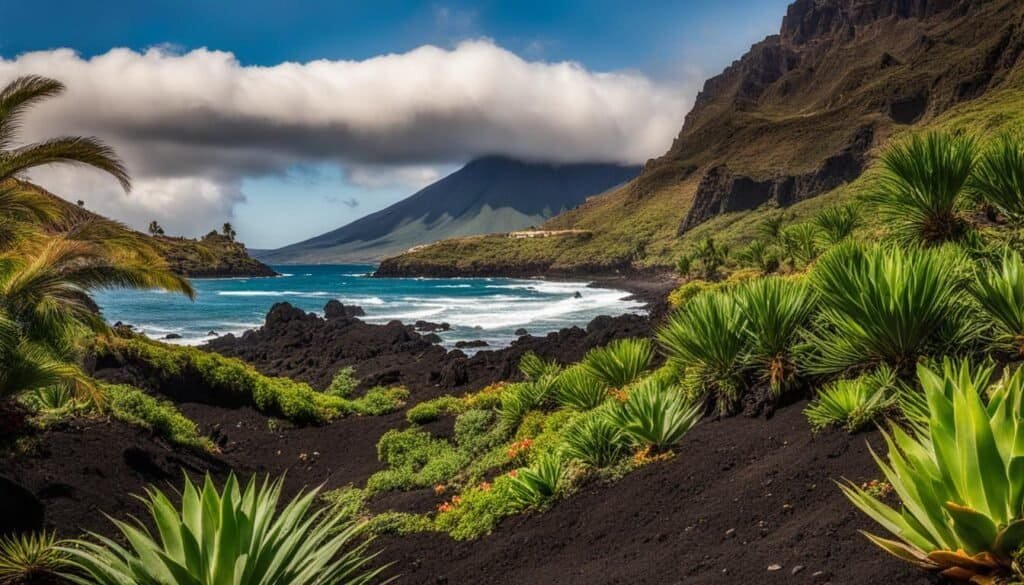 qué es más bonito tenerife norte o sur
