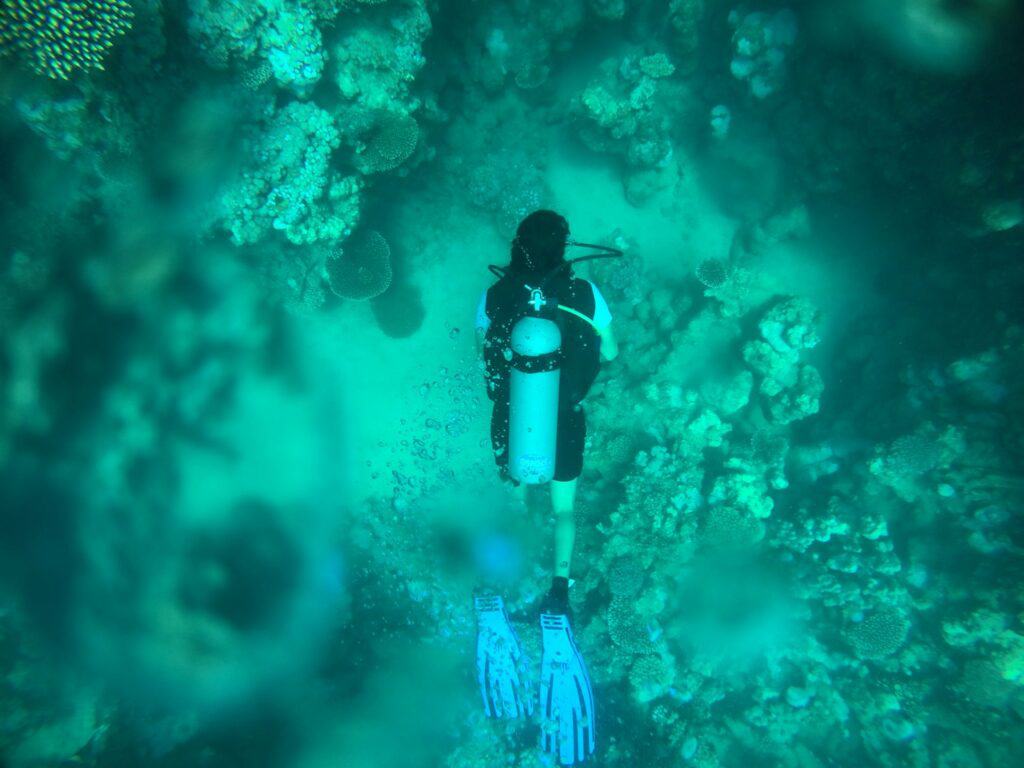 Blog 2 buceo en los cristianos - black and white water pump