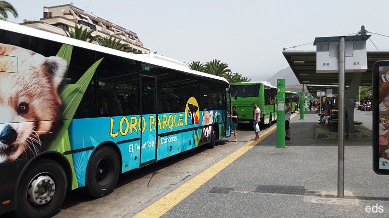 Blog 2 tranporte en los cristianos
