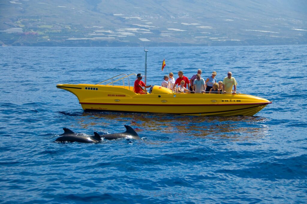 Blog 8 paseos en barcos en los cristianos - a group of people riding on the back of a yellow boat