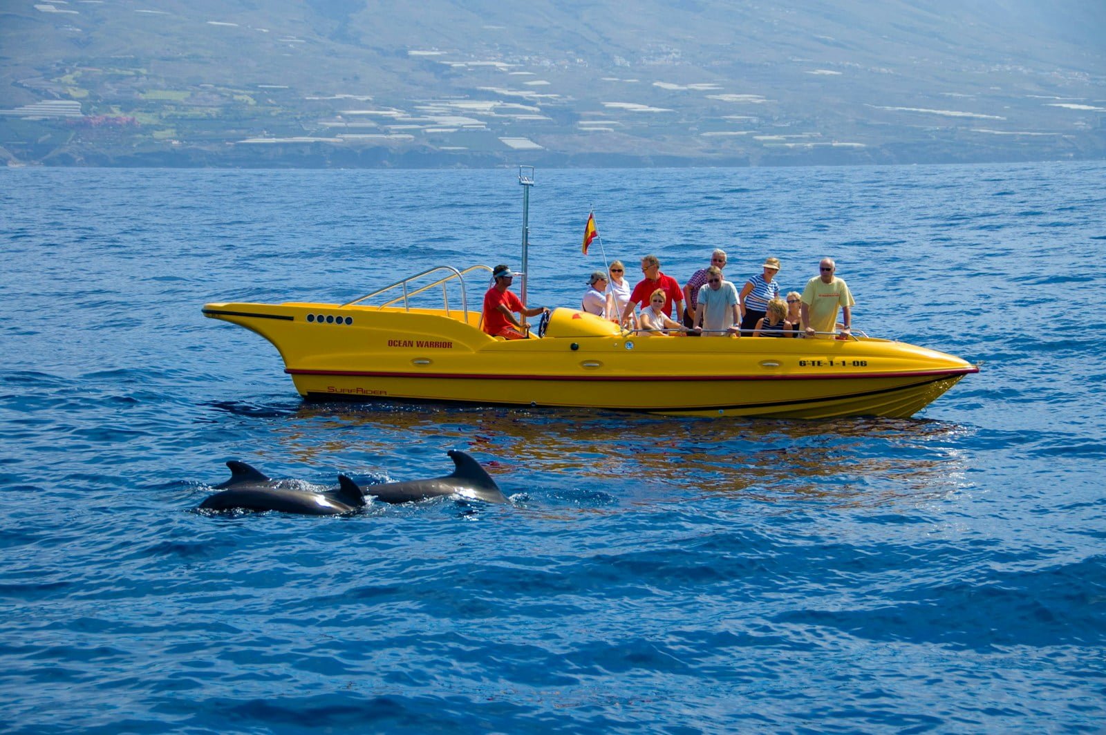 paseos en barcos en los cristianos - a group of people riding on the back of a yellow boat