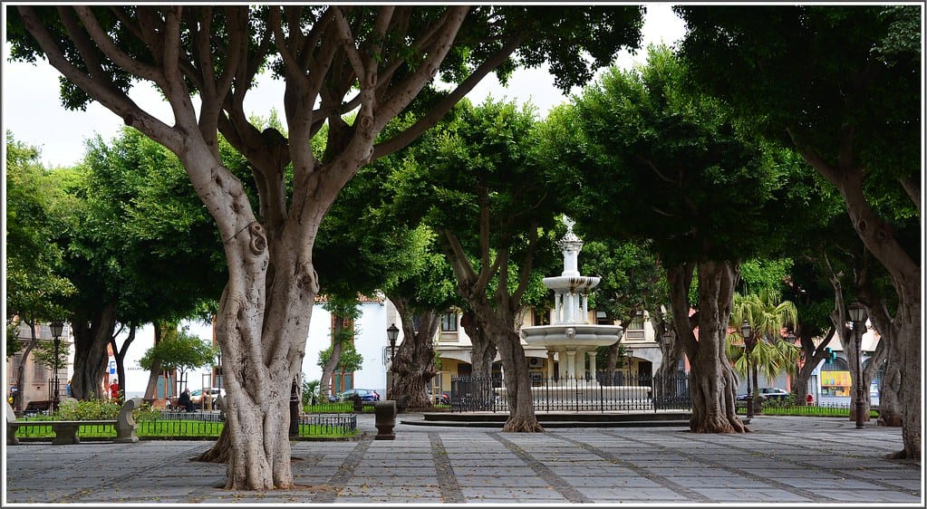 dfa771b5 31a4 4e1e b0f7 a0d1ca58f273 1