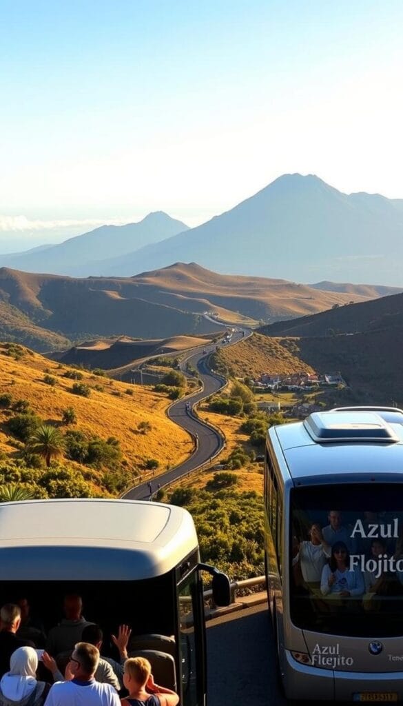 excursiones organizadas en Tenerife